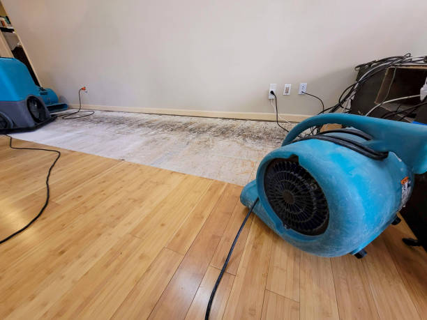Professional Basement Flood Cleanup technician working in Bardwell, TX